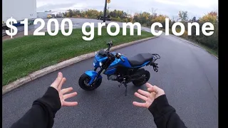 Boom Vader 125cc $1200 grom clone unboxing and review!