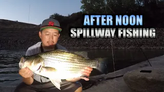 I Waited All Day for These Hybrid Striped Bass | I Caught a Donkey