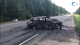 У деревни Лесная под Великим Новгородом произошла страшная авария с тремя погибшими