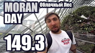 Moran Day 149.3 - Облачный Лес