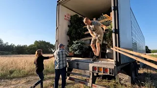 Iseli Plant Load 🌲😍 + Veggie Garden Tour & Planting in the Shade Garden! 💚 // Garden Answer