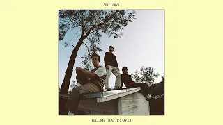 Wallows - That's What I Get (Official Audio)