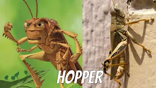 A Bug's Life Characters in Real Life