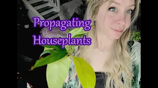 Propagating My Houseplants | How To Make A Propagation Box With Perlite