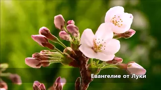 Евангелие от Луки / Глава 3