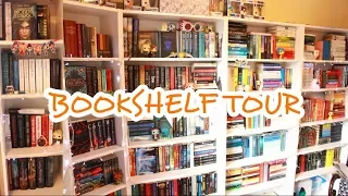 BOOKSHELF TOUR 2018 (520+ LIBRI!!) ✨