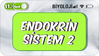 Endokrin Sistem - 2 | Taktikli Konu Anlatım | 11. Sınıf Biyoloji  #2023