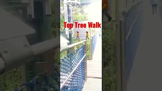 Top Tree Walk 🚶 😍 #singapore | Buddhist View