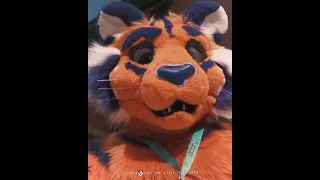 Video made for Jolly The Tiger! #fursuit #furry #hip