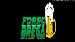 SELEÇAO FORRO BREGA-VOLUME 1