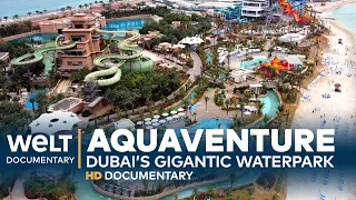 AQUAVENTURE - Dubai’s Gigantic Waterpark | Full Documentary