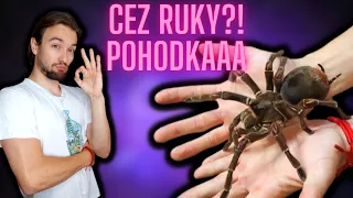 Cez ruky jasné!!! (Premiestňovanie NAJVÄČŠÍCH čajíkov)