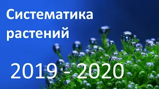 15. Систематика растений (6 класс) - биология, подготовка к ЕГЭ и ОГЭ 2020