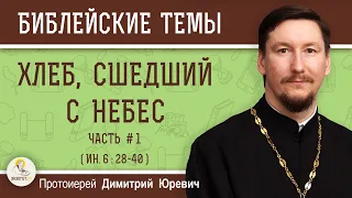 Хлеб, сшедший с небес. Часть 1 (Евангелие от Иоанна 6:28-40) Протоиерей Димитрий Юревич. Толкование