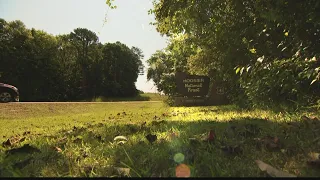 There's been a rise in reports of black bear sightings in Indiana