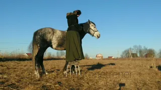 Мягкая заездка лошади. Посадка на свободе.