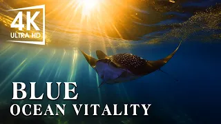 Serenity of the Sea Aquarium 4K Ultra HD - Deep Relaxing Sleep Meditation Music #10