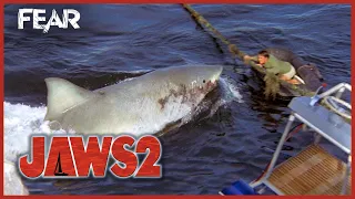 Killing The Shark (Final Scene) | Jaws 2 | Fear