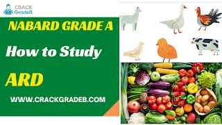 How to Study ARD for NABARD Grade A