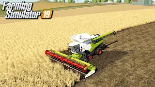 Żniwa na największym polu - Farming Simulator 19 | #85