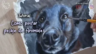 Como pintar pelo de animal - pintura de animales - Tutorial - Diana Lunarte