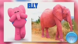 Pocoyo Characters In Real Life 2018