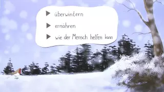 Wintersnot - Vögel auf Nahrungssuche | Biologie | Biologie der Tiere (Mittelstufe)