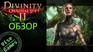 Divinity: Original Sin 2 обзор от Vise Games