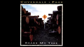 Coverdale Page 1993 - Shake My Tree (Geffen Promo)