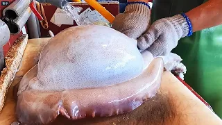 Amazing live giant cuttlefish cutting / Many Types of Sashimi