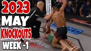 MMA & Boxing Knockouts I May 2023 Week 1