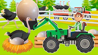 Tractor working on the Farm & Picking Up Ostrich Eggs | Monkey Farm Life