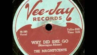 MAGNIFICENTS - UP ON THE MOUNTAIN / WHY DID SHE GO - VEE JAY 183 - 4/56 - CHICAGO CLASSIC