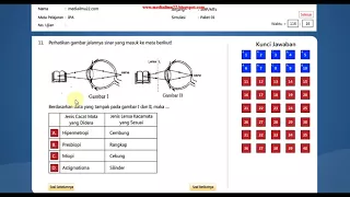 Soal Latihan Simulasi UNBK IPA SMP Tahun 2019 2020 ( soal dan jawaban )