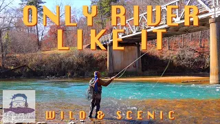 FLY FISHING MISSOURI | THE MOST BEAUTIFUL TROUT RIVER | HOW IS THIS THE ONLY ONE?