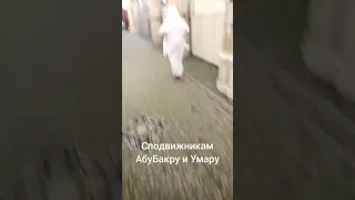 Рауда и могила пророка ﷺ, а также крыша мечети