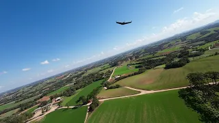 AtomRC Dolphin - AR Wing Pro - FPV formation flight (Chase) (4K)