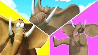 Elefante Divertido | Funny Cartoon Animals | Dibujos Animados De La Selva | Gazoon español