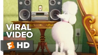 The Secret Life of Pets VIRAL VIDEO - Meet Leonard (2016) - Animated Movie HD