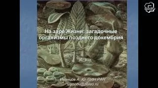 Андрей Иванцов «На заре Жизни: загадочные организмы позднего докембрия»