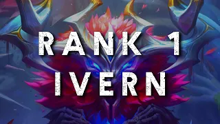 I talked to the BEST Ivern in the world ... Here's what I learned