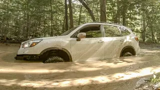 Subaru Forester in Deep Trouble