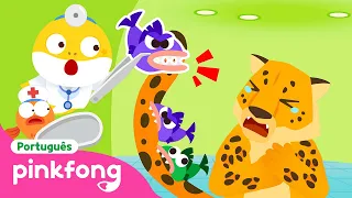 Rawr! Amigos Predadores Assustadores | no Hospital 🏥 | Pinkfong, Bebê Tubarão! Canções para Crianças