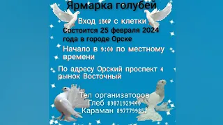 Ярмарка голубей в городе Орске 25.02.224