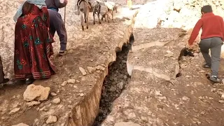 Today the family went to the mountain to collect feed for the winter of the sheep(Part1)