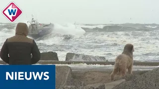 Spectaculaire beelden van de storm op Scheveningen - OMROEP WEST