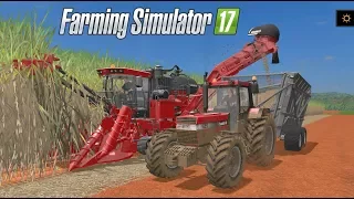 La Cosecha de Caña de Azúcar | DLC Platinum Expansión | Farming Simulator 17