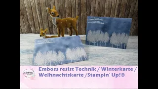 Emboss resist Technik - Winterkarte / Weihnachtskarte / Stampin Up