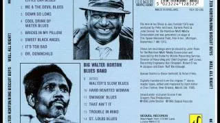 Big Walter Horton Blues Band - The Honeydripper (Walter Jumps One)