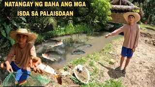 MGA NAKALABAS NA ISDA. PANGHUHULI